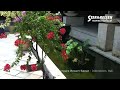 stafa reisen hotelvideo mercure resort sanur bali