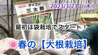 🌸春の【大根栽培】　ビニールハウスで袋栽培　今日流れ→堆肥散布→大根種まき【袋栽培