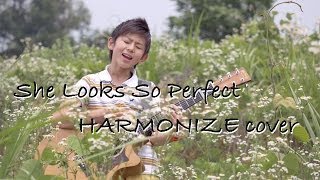 eiku  harmonize  - She Looks so Perfect - 5 Seconds of summer- (Acoustic Cover)