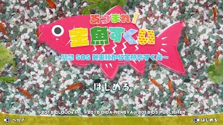 【Switch】あつまれ！金魚すくい　超高難度ミッションに挑め