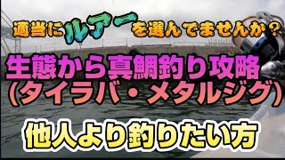 生態から真鯛釣り攻略１(タイラバ・メタルジグ)　他人より釣りたい方　是非見てね！　マダイ　ふかせ釣り