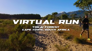 Virtual Running Video For Treadmill With Music in Tokai Forest | Cape Town, South Africa