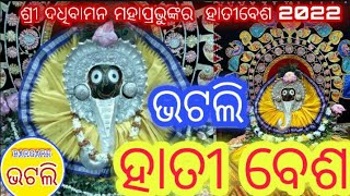 Bhatli / ହାତୀବେଶ / ଶ୍ରୀ ଦଧିବାମନ ମହାପ୍ରଭୁଙ୍କର ହାତୀବେଶ / Jay  Dadhibaman swami / Bargarh bhatli