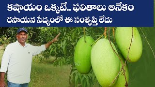 E168 |మామిడిలో ఈ కషాయం పనితీరు అద్భుతం| @GramaBazaar |@Mango | 94912 78836