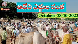 ఆదోని శుక్రవారం ఎద్దుల సంత - సంతలో రేట్లు // adoni friday bull's market in 28/10/2022 ||