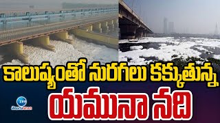 Heavy Air Pollution in Delhi | Yamuna River | కాలుష్యంతో నురగలు కక్కుతున్న యమునా నది | ZEE News