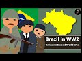 What Did Brazil Do in World War 2? | The South American Ally