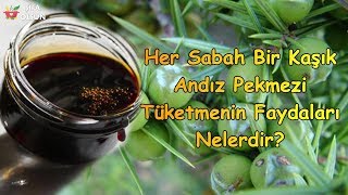 Her Sabah Bir Kaşık Andız Pekmezi Tüketmenin Faydaları Nelerdir