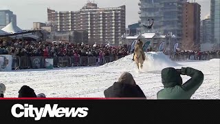 Skijordue heats up downtown Calgary despite freezing temperatures