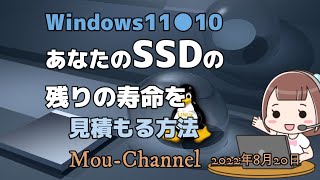 Windows11●10●あなたのSSDの残りの寿命を見積もる方法