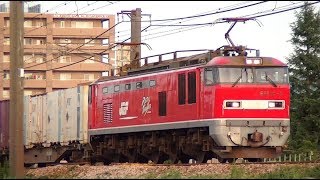 ﾚｯﾄﾞｻﾝﾀﾞｰEF510-3牽引高速貨物3098ﾚ　札幌→福岡