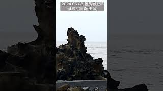 SP38_母鳥打黑鳶_黑鳶腳上有魚_2024酋長岩遊隼_5月8日