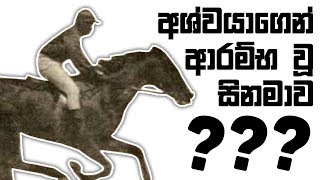 පළවෙනි සිනමා නළුවා අශ්වයෙක්ද? | History of Cinema