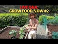 🔴LIVE Q&A Grow Food NOW #2