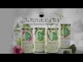 SuperGreen Teas from The Republic of Tea