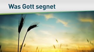 Diese Eigenschaften segnet Gott  – Bayless Conley