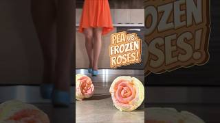 Pea's Heels vs. Frozen Roses! Oddly Satisfying Food Crushing! Brain Melting ASMR!