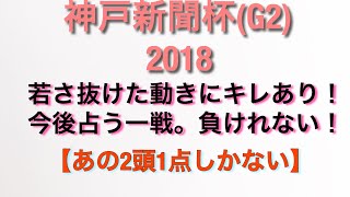 神戸新聞杯 2018【菊花賞TR】申し訳ないがこの2頭は抜けてる。