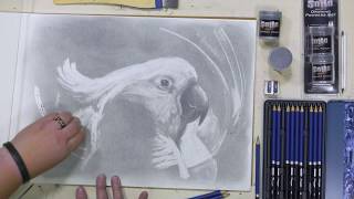 SoHo Graphite and Charcoal Drawing Powders - Product Demo