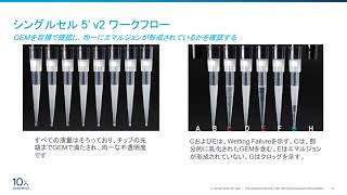 シングルセル免疫プロファイリングワークフロートレーニング