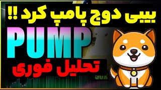 فوری پامپ بیبی دوج کوین شروع شد تا کجا قراره بریم !! سیو سود کنیم یا زوده ؟