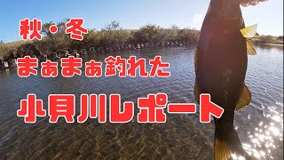 【バス釣り】まだまだ釣れる小貝川　