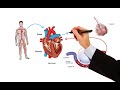 Pharmacology – HEART FAILURE (MADE EASY)