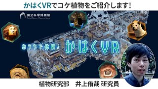 もっとかはくVR ーかはくVRでコケ植物をご紹介します！（植物研究部・井上侑哉）