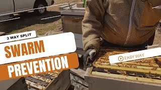 How To Make Three Hives From One Overwintered Hive