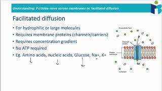 Facilitated Diffusion - IB Biology Revision Notes Topic 1