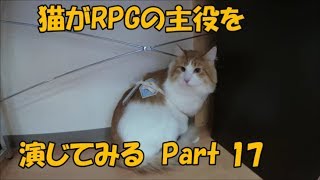 旭川市　動物病院　ほんむら動物病院で飼われている猫があのRPGの主役を演じてみる姿　Part17 主役の危機脱出編