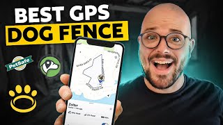 Best GPS Dog Fence for Your Dog & Property (2025 Review)