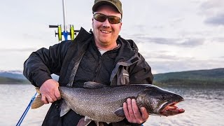 Canadarøyefiske i Kvesjøen