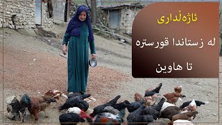 ئەم ژنە خەڵکی گوندی مۆکەبەیە و سەرقاڵی کاری ئاژەڵداری و کشتوکاڵە لە گوندەکە