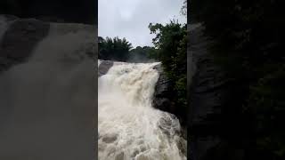 Ripple waterfalls Munnar #shorts