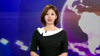 '유기물 나노 기술' 에이펙셀, 노벨 물리학상 후보로 추천- [MBN 뉴스]