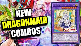 Yu-Gi-Oh! NEW Dragonmaid Combos Ft. Lady's Dragonmaid! - New Dragonmaid Support + Deck List!