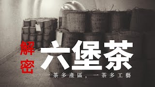 【解密明星茶】水土不服喝六堡！謎樣的六堡茶，與普洱茶相似卻又更加複雜！