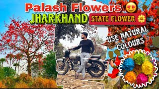 Use Natural Colours in this Holi | Don’t use chemical colours in Holi | Palash flower of Jharkhand