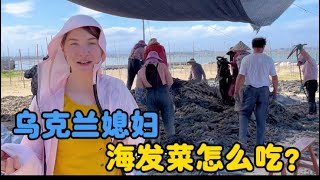 乌克兰媳妇探班阿美英，上演小蝌蚪找妈妈。海发菜怎么吃？#生活vlog #vlogs #中外家庭 #婆媳 #农村生活 #海外生活 #海