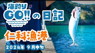 【海釣りGOの日記】 仁科漁港 北側堤防 ９月中旬