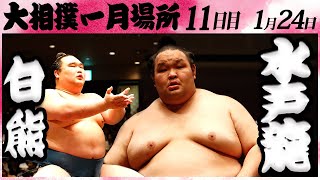 大相撲　白熊ー水戸龍　＜令和６年一月場所・１１日目＞SUMO