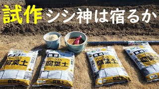 【試作：菌の棲む畝づくり】次回は本格的な糸状菌の棲む善循環型畝づくりを目指していきます（近日公開します）