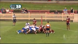 RugbyMania - Norths v Eastwood - Shute Shield 2012 - R1