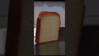 Get bread to 100 subs! #bread #funny #viralshort #fyp