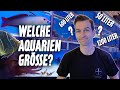 Aquariengrößen für FISCHE - Kategorien im Meerwasseraquarium * PlanktonPlus Aquaristik *