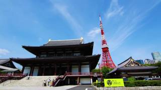 增上寺│ 東京鐵塔  縮時攝影