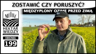 ZAPYTAJ MNIE | ZOSTAWIĆ CZY PORUSZYĆ? MIĘDZYPLONY OZIME PRZED ZIMĄ. | ODCINEK 199