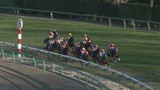 カワカミプリンセス 2008年 第53回有馬記念(GI) (優勝馬：ダイワスカーレット)