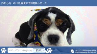 2015年07月11日   トリミングサロンDogBuddy